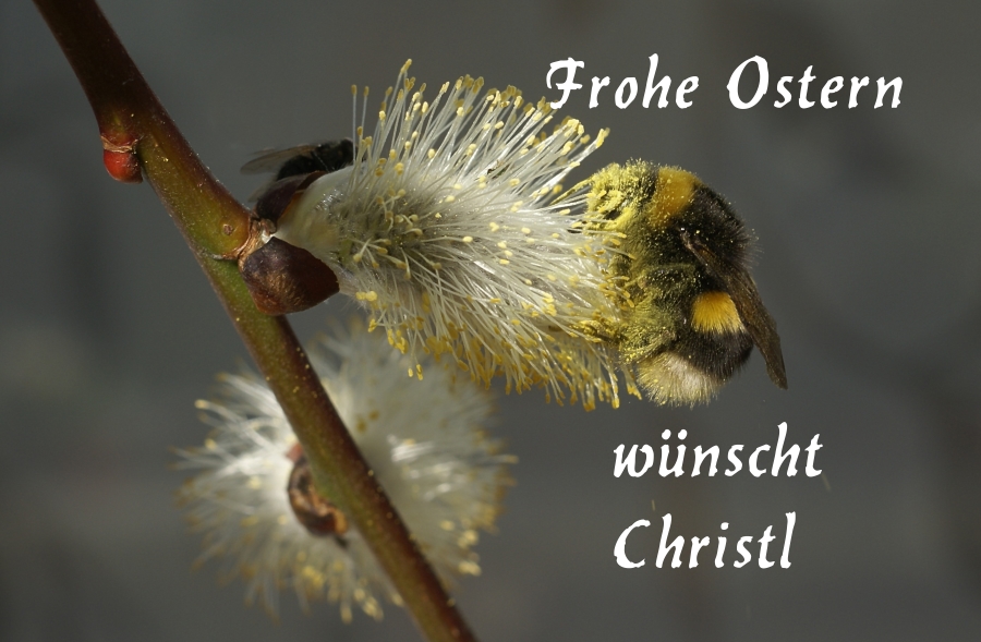 Frohe Ostern