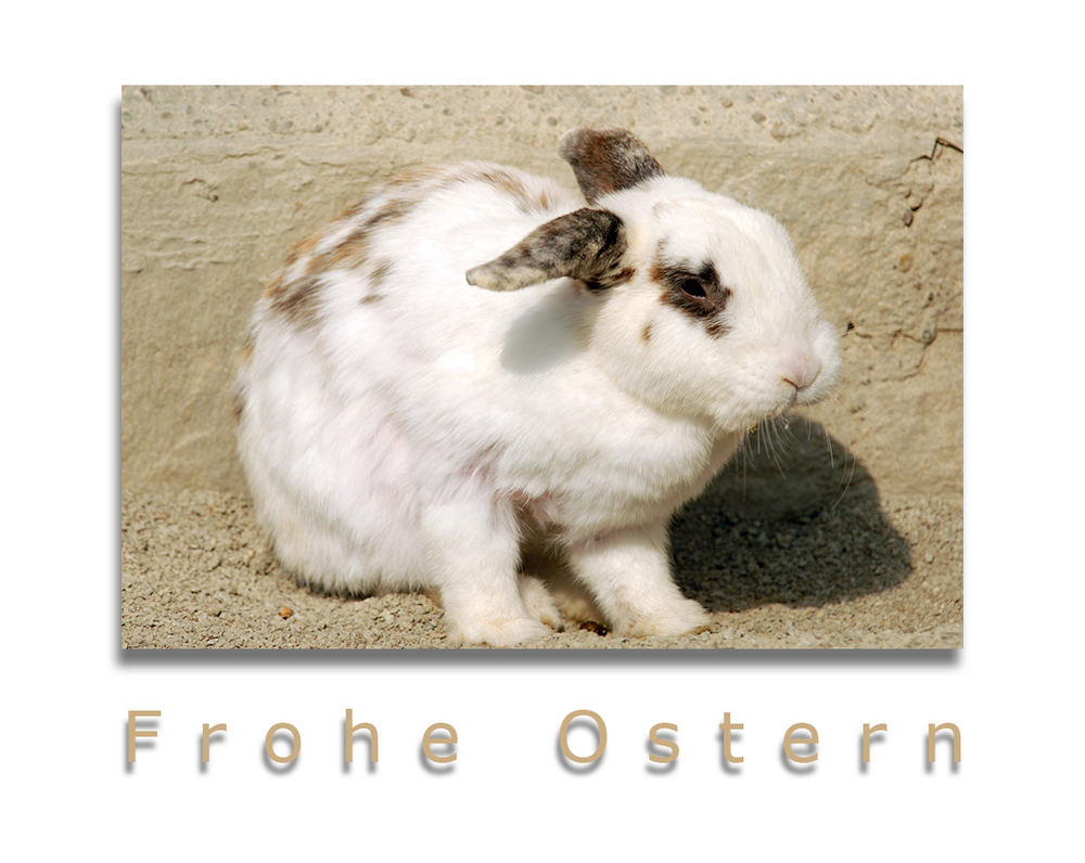 Frohe Ostern...