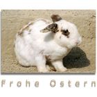 Frohe Ostern...