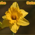 Frohe Ostern