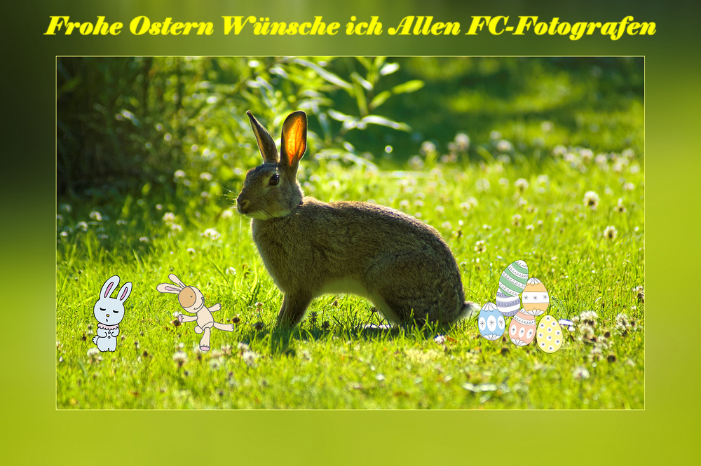 FROHE OSTERN