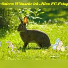 FROHE OSTERN