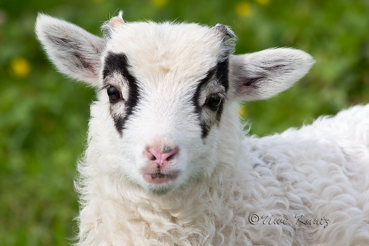 Frohe Ostern!