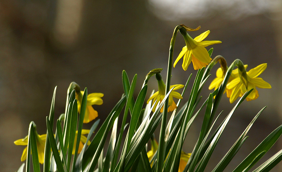 Frohe Ostern!