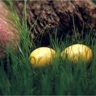 Frohe Ostern