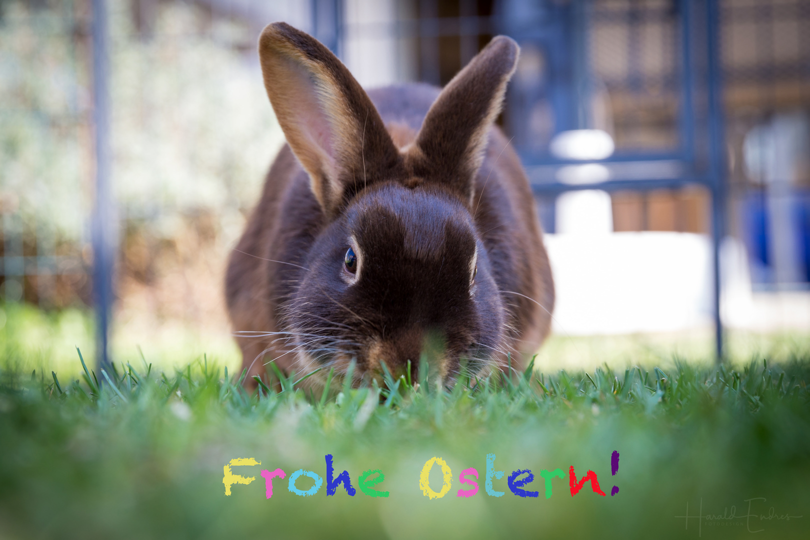 Frohe Ostern