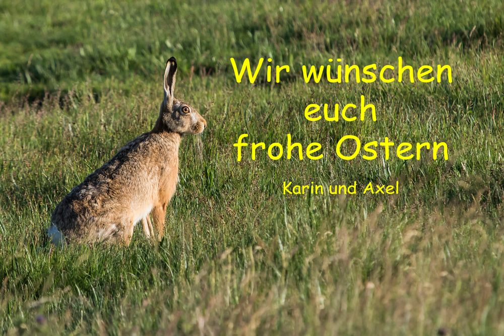 Frohe Ostern