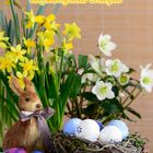 Frohe Ostern