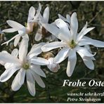 Frohe Ostern