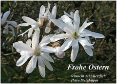 Frohe Ostern