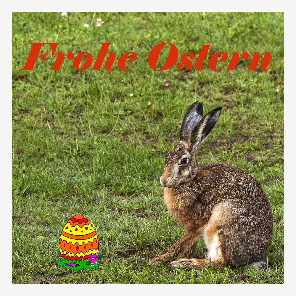 Frohe Ostern!