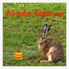 Frohe Ostern!