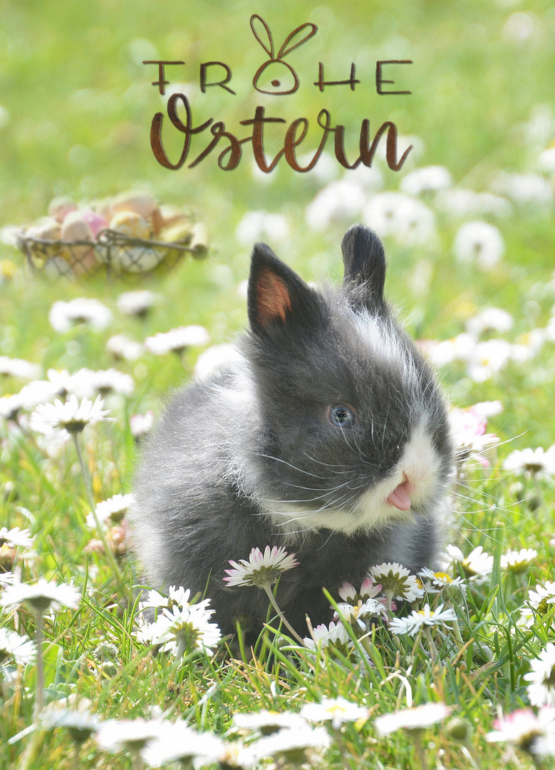 frohe ostern