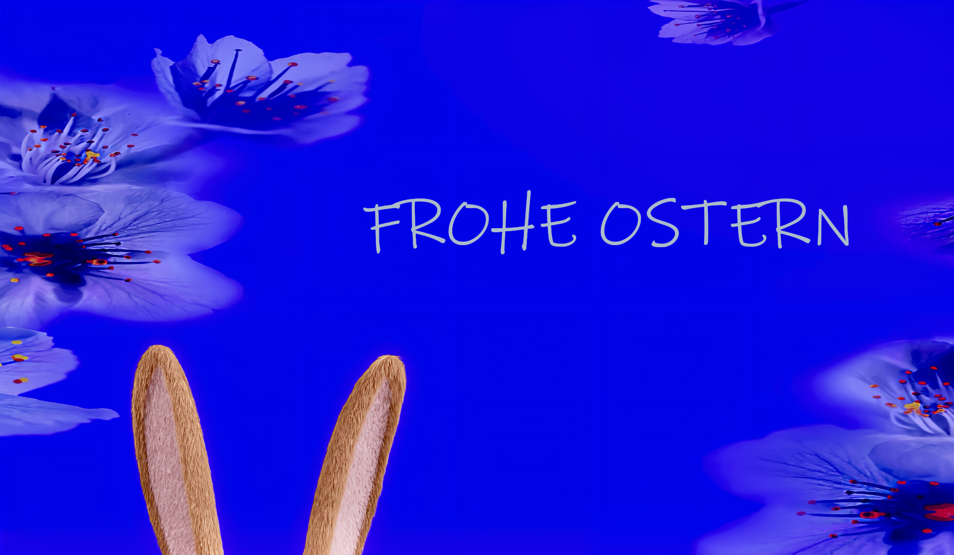 Frohe Ostern