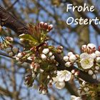 FROHE OSTERN