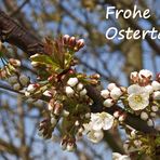 FROHE OSTERN