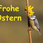 Frohe Ostern