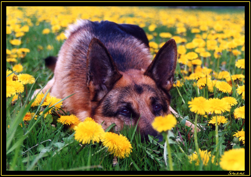 Frohe Ostern!