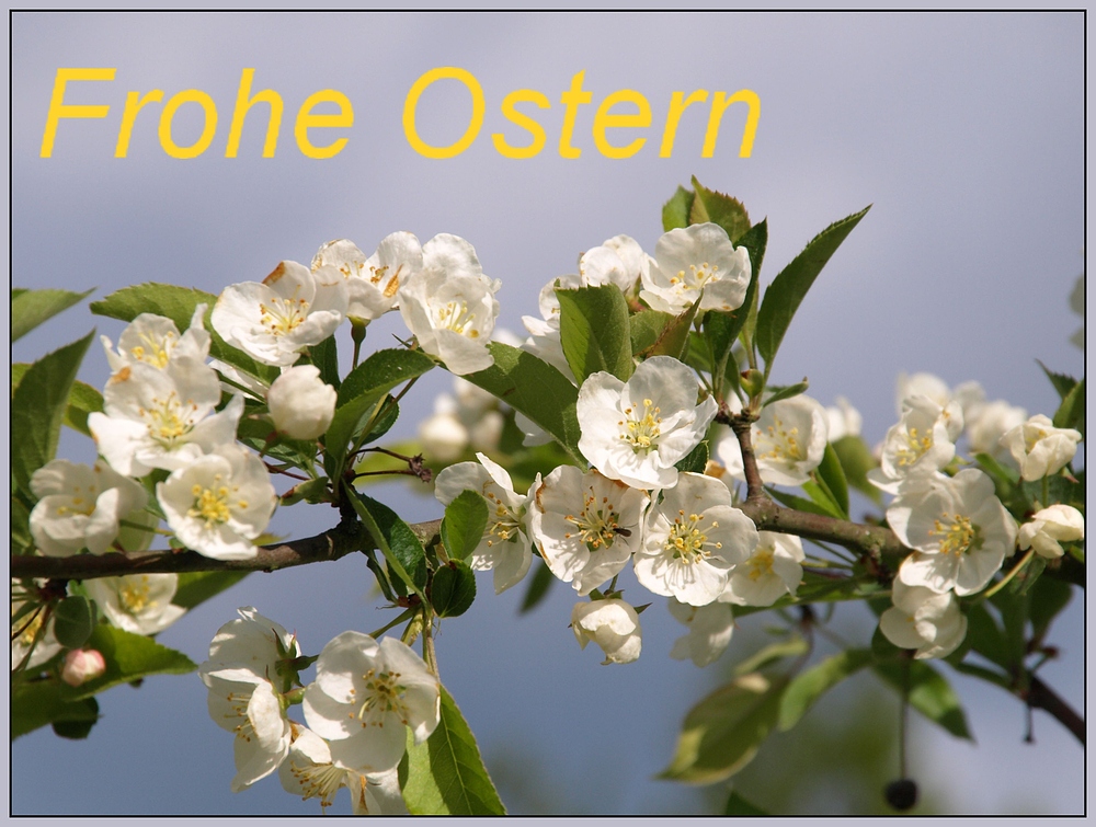 Frohe Ostern