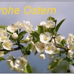 Frohe Ostern