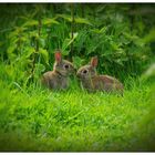 Frohe Ostern