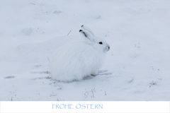 FROHE  OSTERN