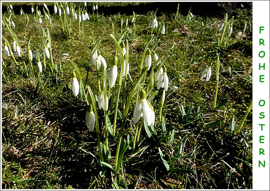 Frohe Ostern!