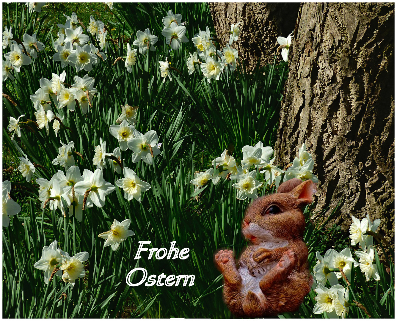 Frohe Ostern ...