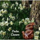 Frohe Ostern ...