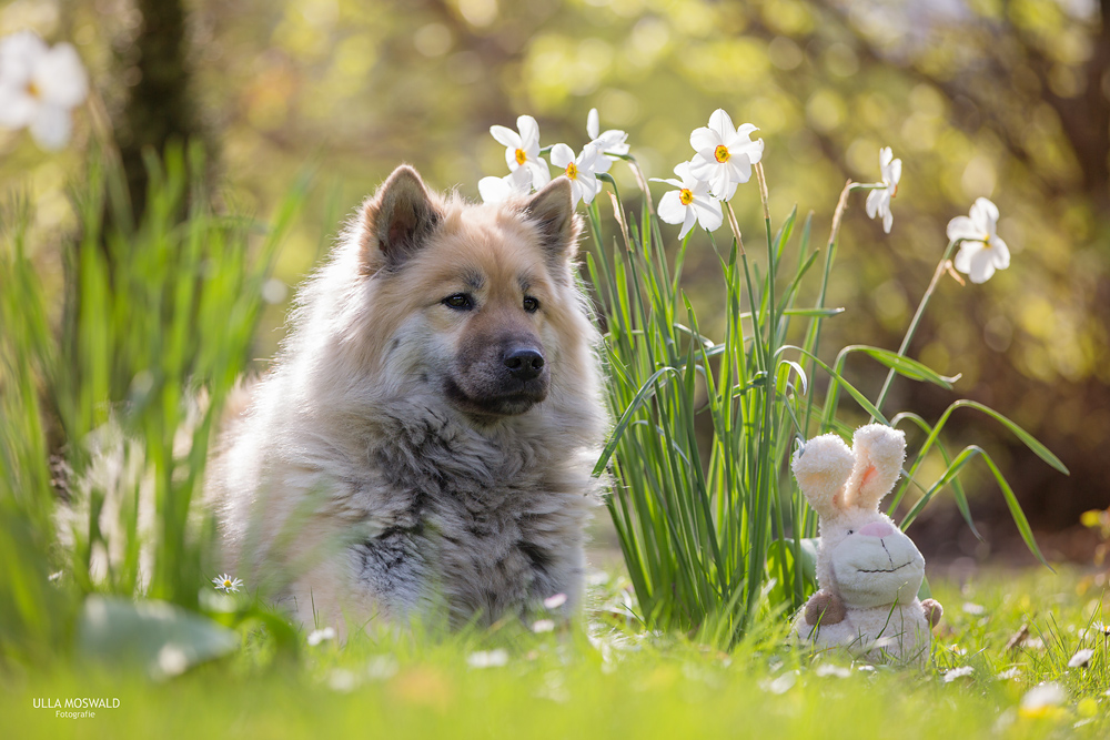 ...frohe Ostern...