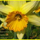 Frohe Ostern