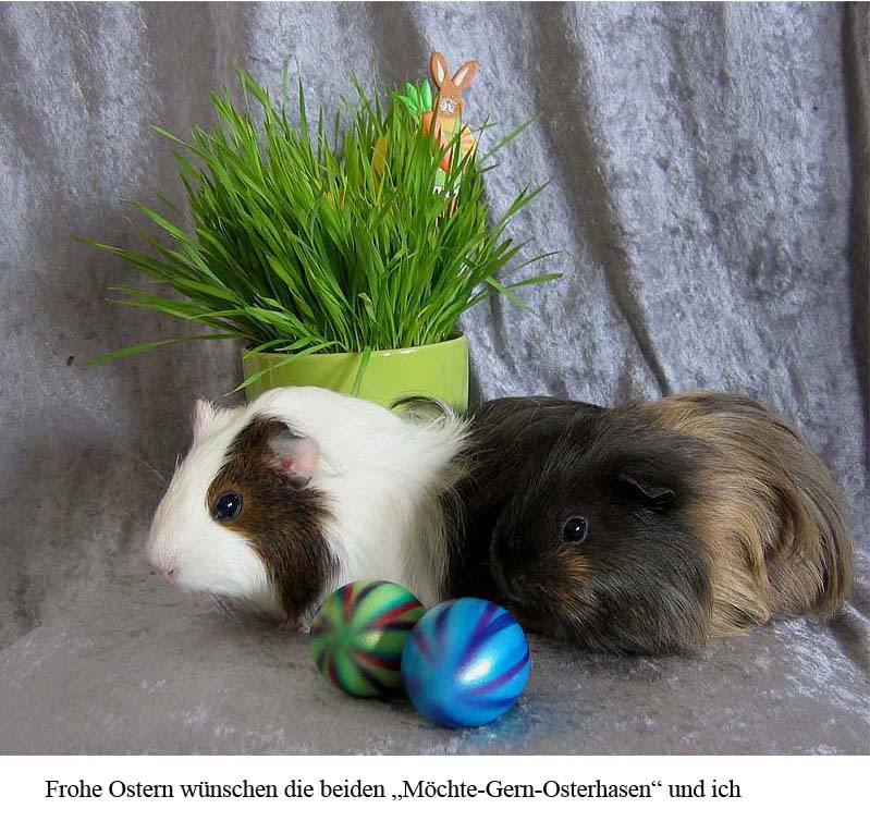 Frohe Ostern!