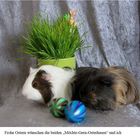 Frohe Ostern!