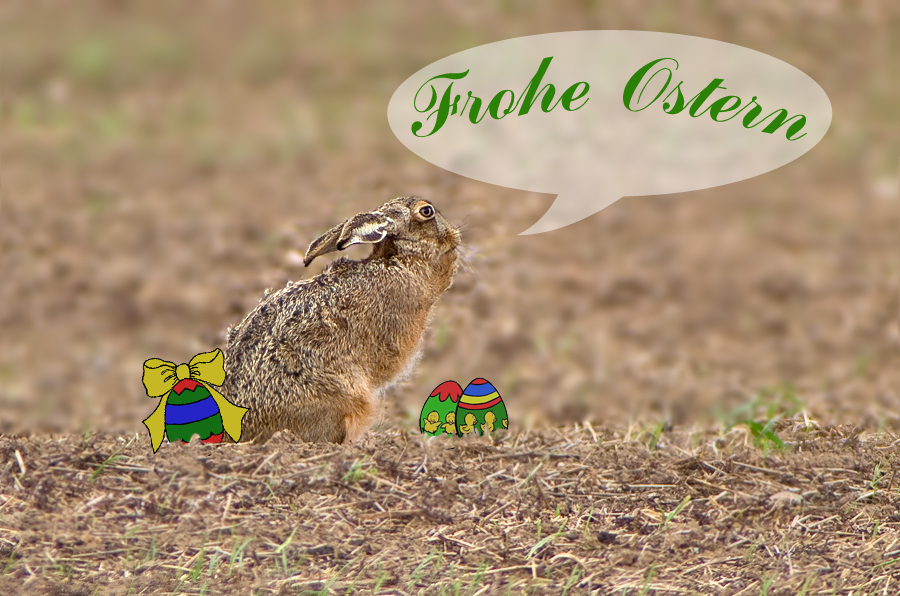 Frohe Ostern