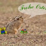 Frohe Ostern