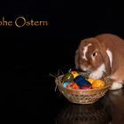 Frohe Ostern!