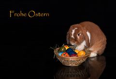 Frohe Ostern!