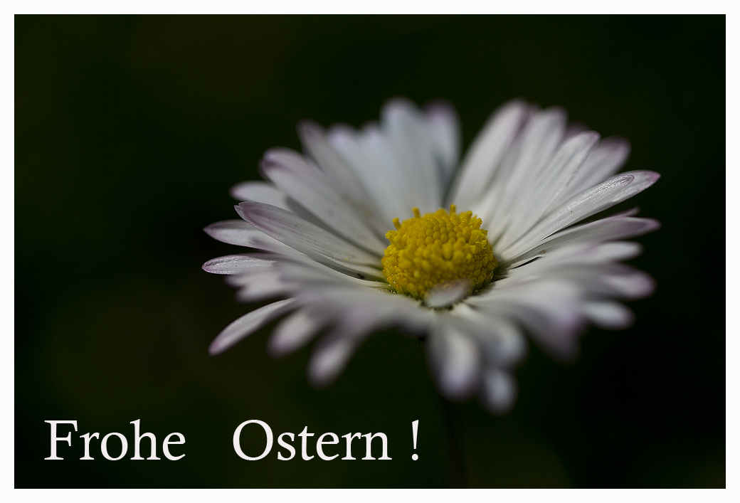 Frohe Ostern!