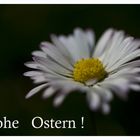 Frohe Ostern!