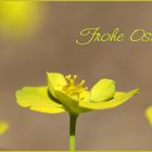 Frohe Ostern