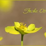 Frohe Ostern