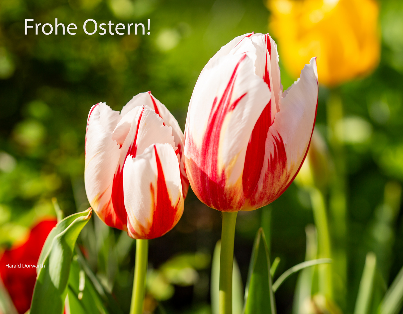 Frohe Ostern