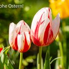 Frohe Ostern