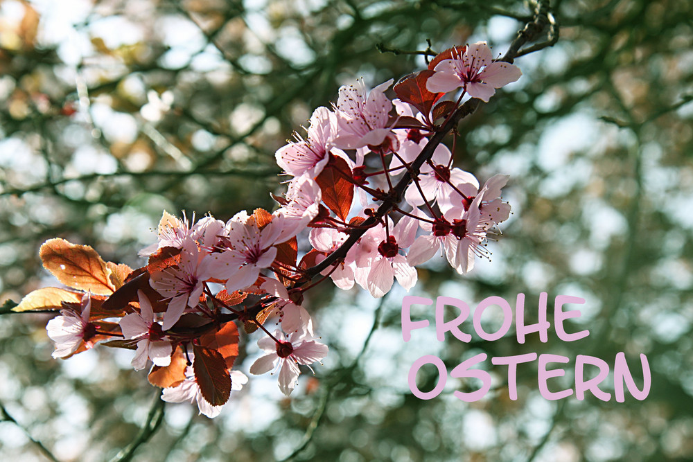 Frohe Ostern