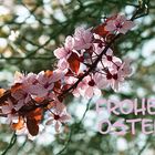 Frohe Ostern