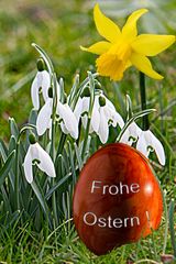 Frohe Ostern ...