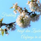 FROHE OSTERN