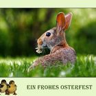 FROHE OSTERN