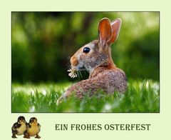 FROHE OSTERN