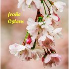 frohe Ostern ....